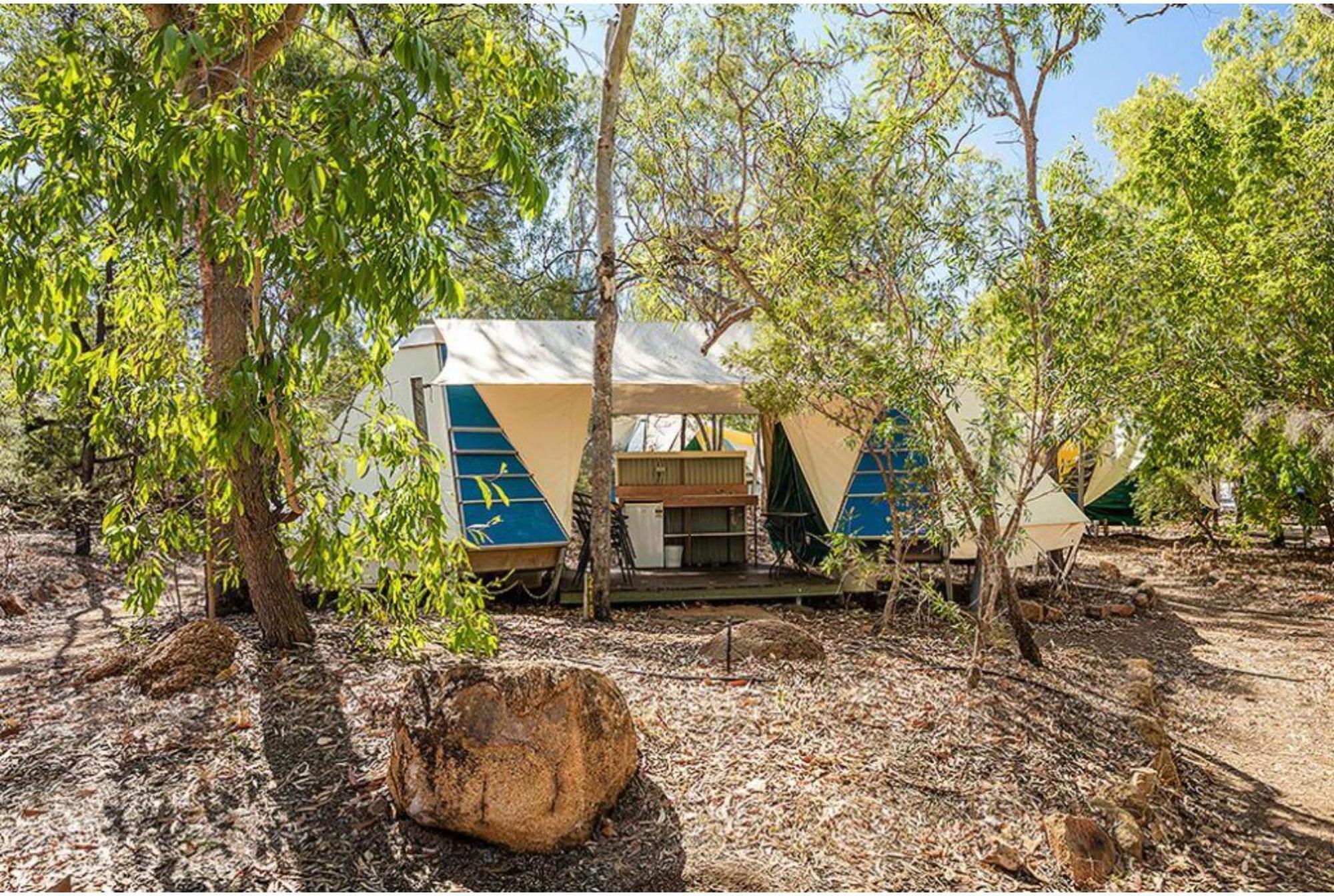 Discovery - Undara Lodge *